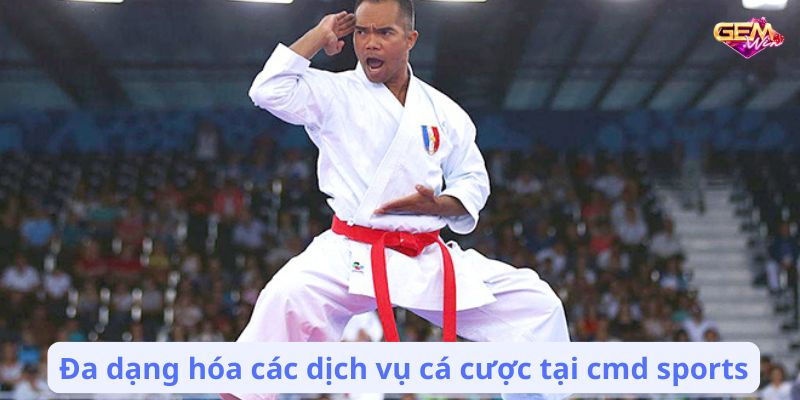 Đa dạng hóa các dịch vụ cá cược tại cmd sports