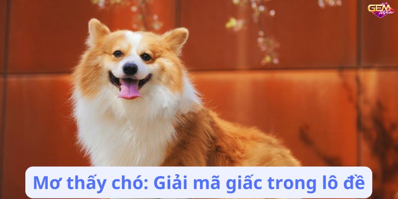 mo thay cho 2 Mơ thấy chó: Giải mã giấc trong lô đề