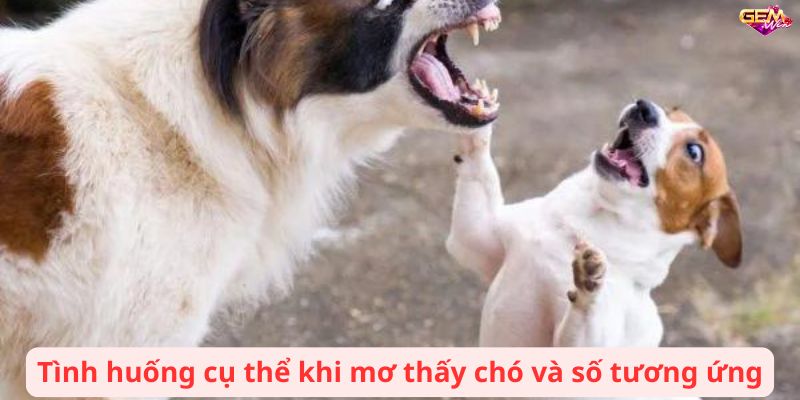 mo thay cho 3 Tình huống cụ thể khi mơ thấy chó và số tương ứng