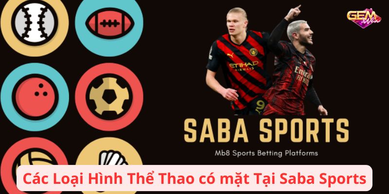Các Loại Hình Thể Thao có mặt Tại Saba Sports